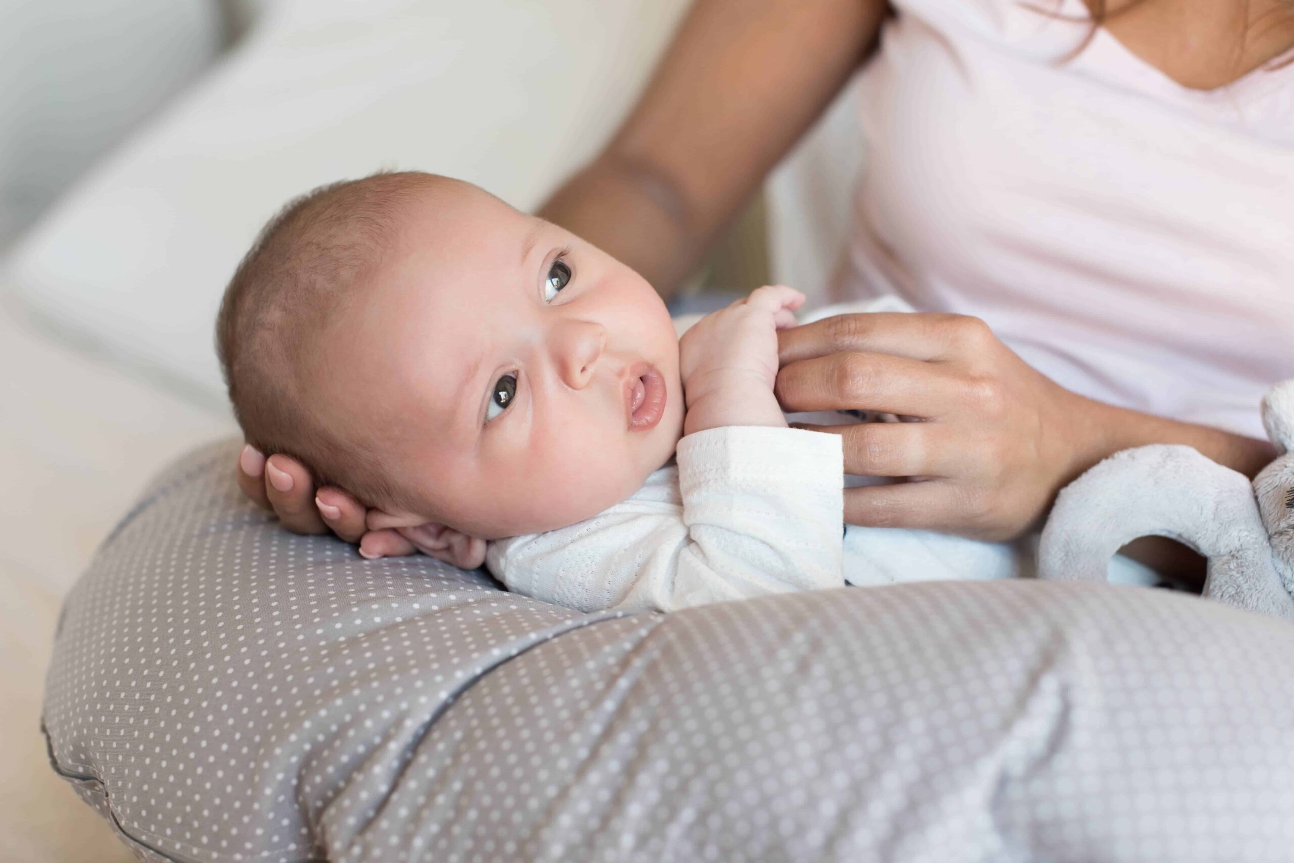 The Best Organic Nursing Pillows — The Gentle Nursery Holy Lamb Organics Organic Cotton & Wool U-Shaped Nursing Pillow by Holy Lamb Organics