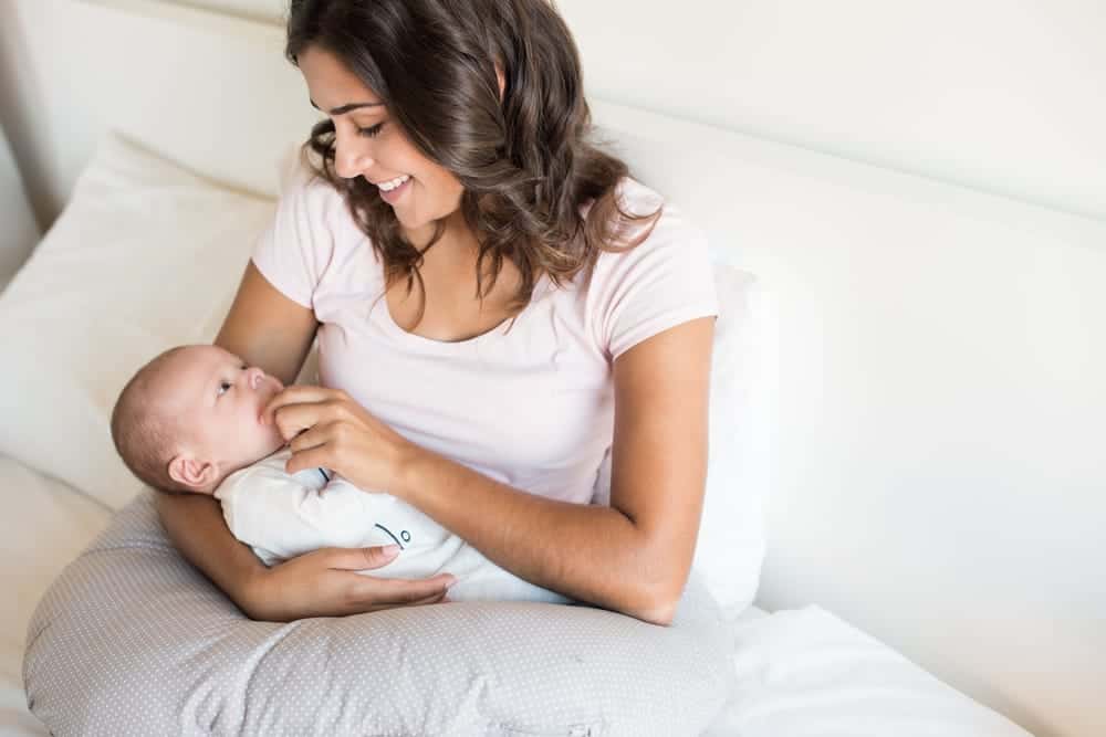 organic cotton nursing pillow