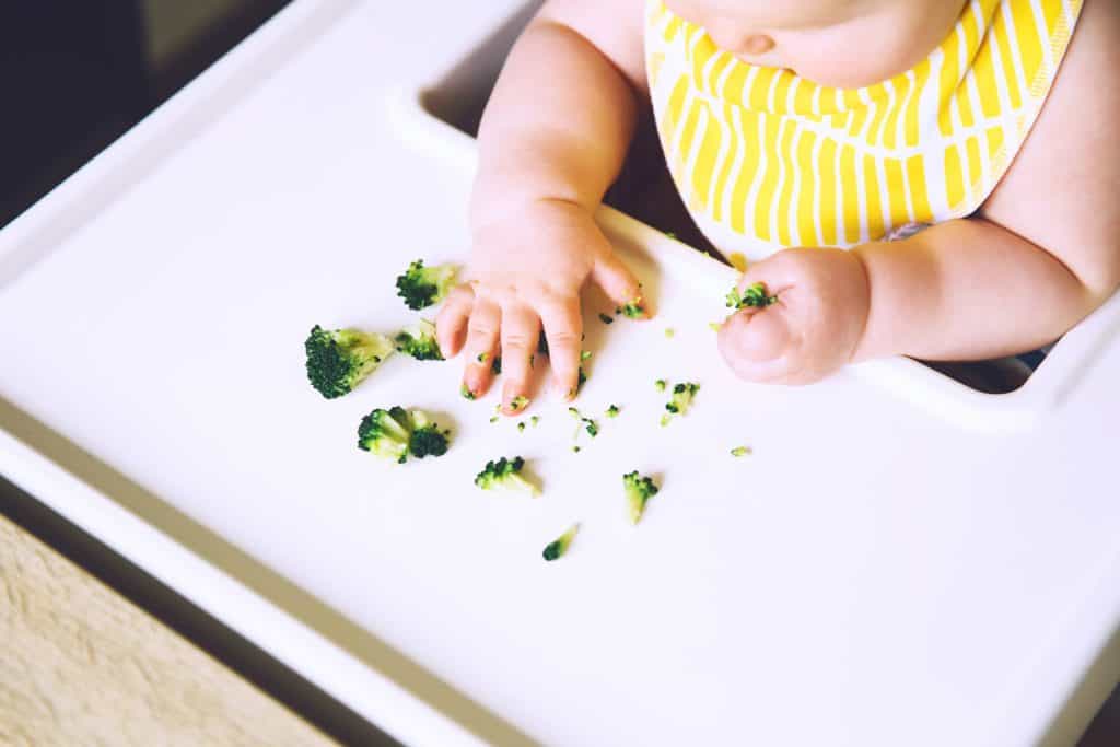 Essentials for Feeding Baby Solids - Life Anchored