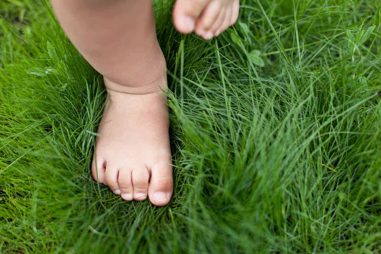 closeup of baby feet in grass