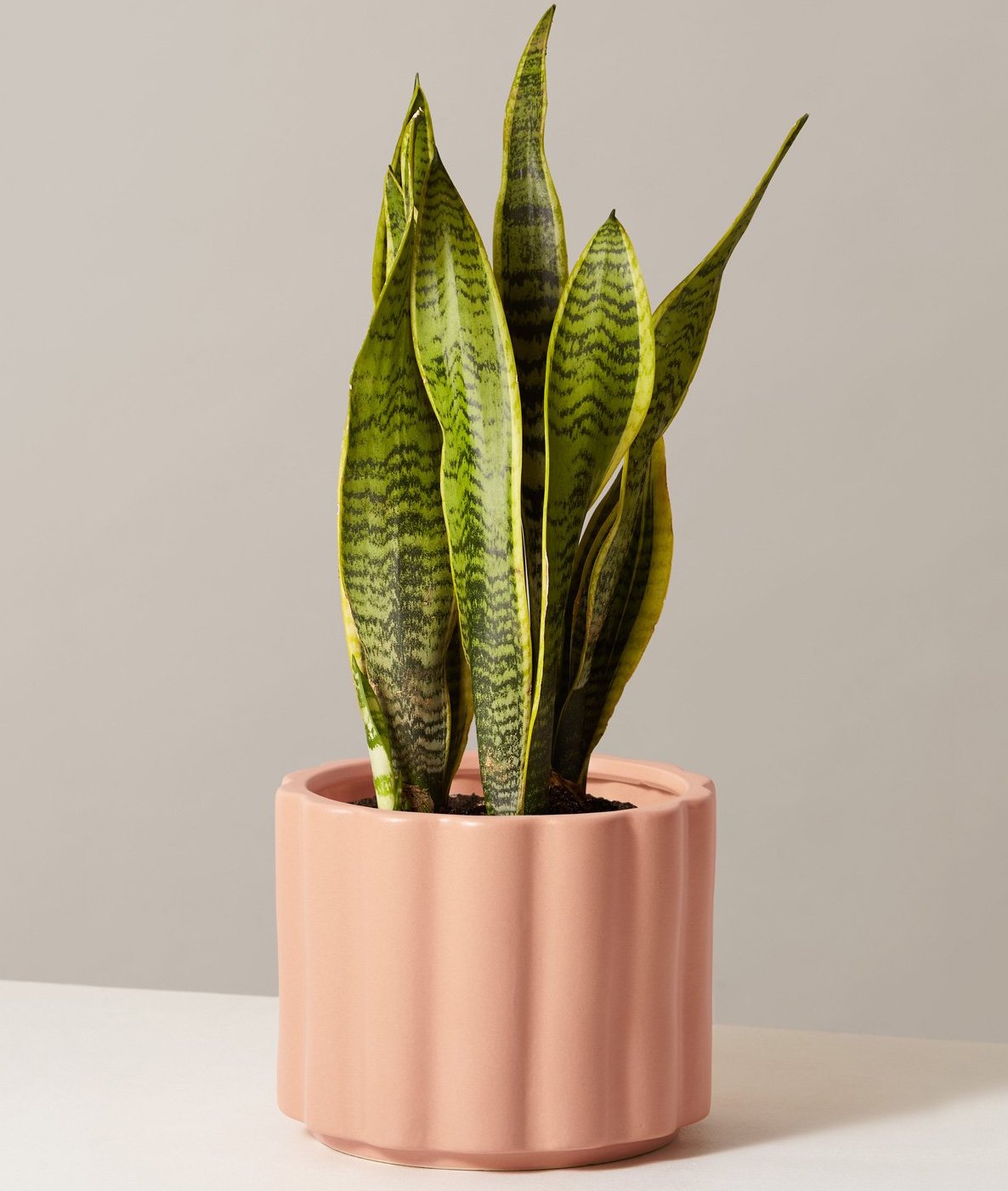 35+ Gift Ideas for Pregnant Women Gifts She'll Really Love