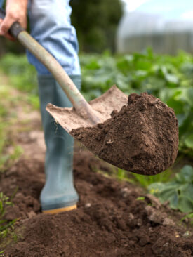 closeup of farmer shoveling dirt on farm