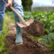 closeup of farmer shoveling dirt on farm
