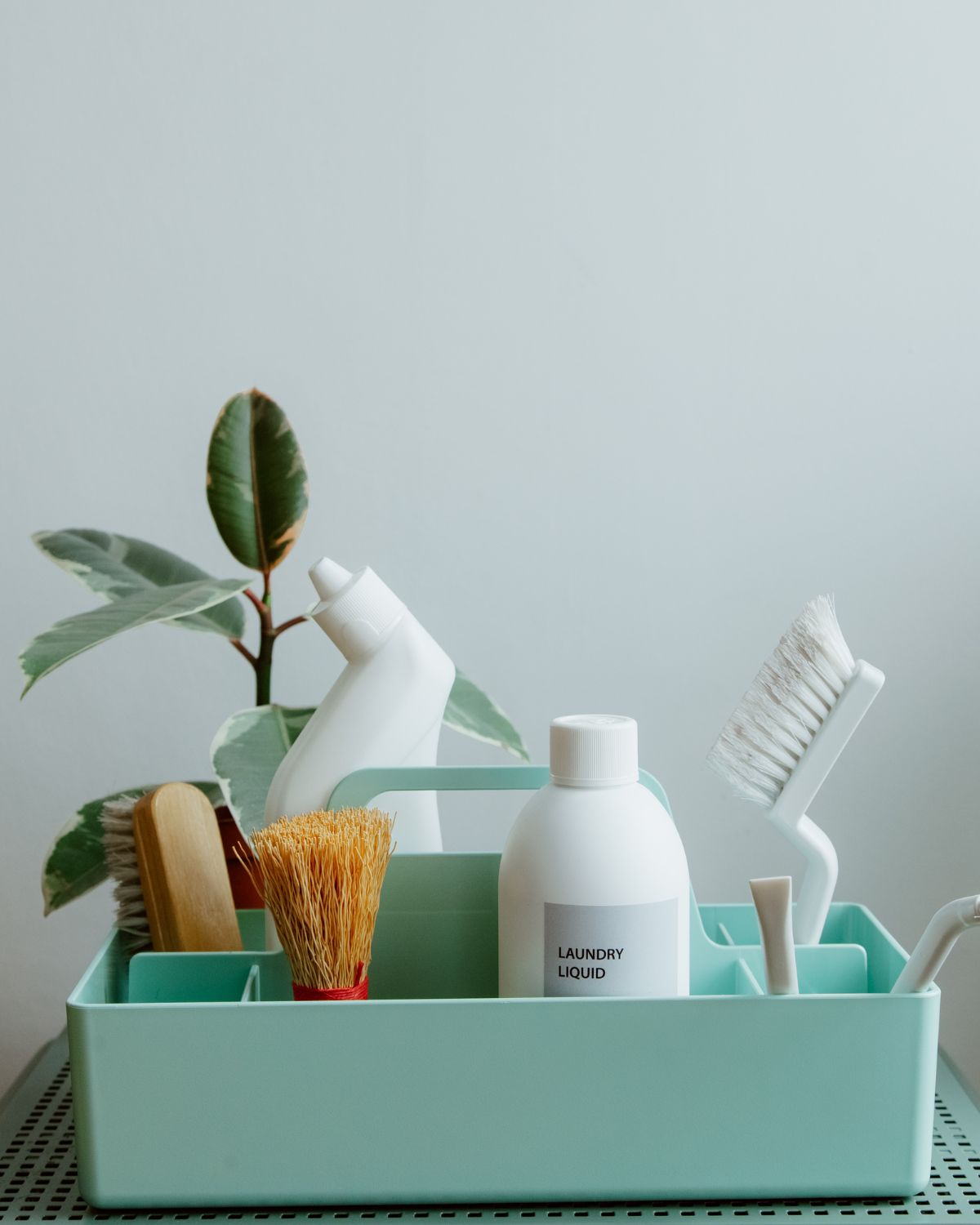 8 Must-Have Non-Toxic Cleaning Products