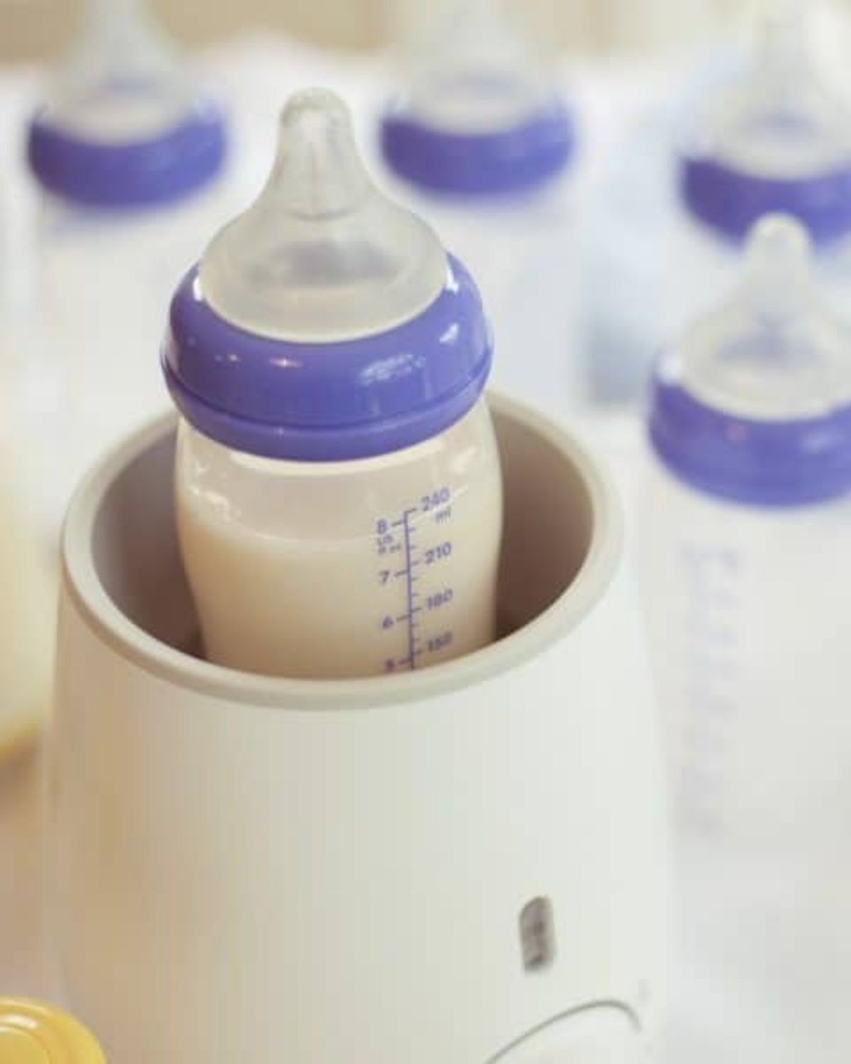 Best Baby Bottle Warmers of 2024