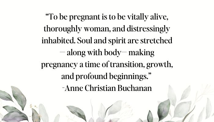 amazing journey of pregnancy