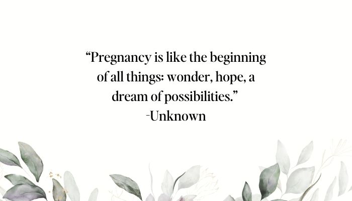 amazing journey of pregnancy